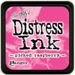Ranger Ink - Tim Holtz - Distress Ink Pads - Mini - Picked Raspberry